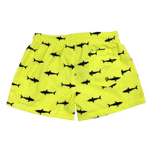 PACK SWIM-SHORTS