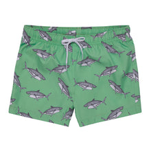 Load image into Gallery viewer, BERKO MINT SWIM-SHORTS
