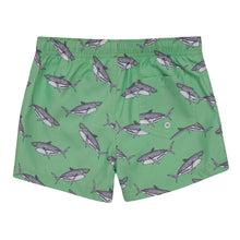 Load image into Gallery viewer, BERKO MINT SWIM-SHORTS
